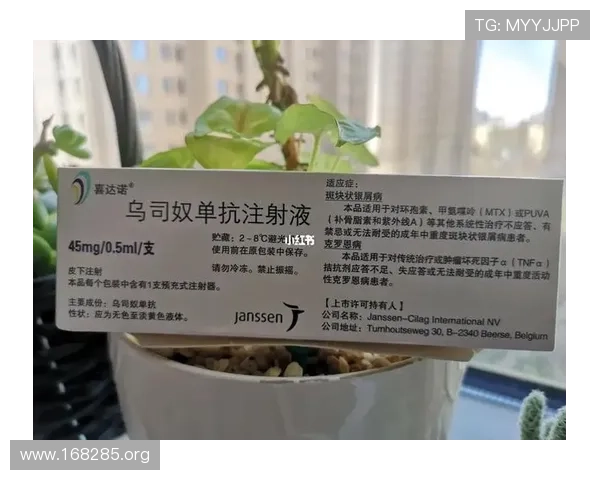喜达诺乌司奴单抗：创新抗癌药物的最新研究与应用